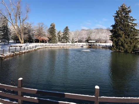 Image result for Spring Run Trout Farm