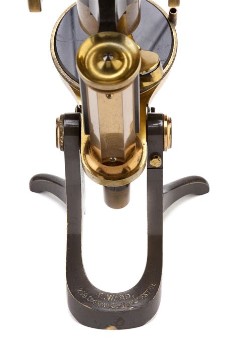 Image result for Modern Compound Microscope