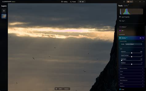 Image result for Neo Luminar Sample