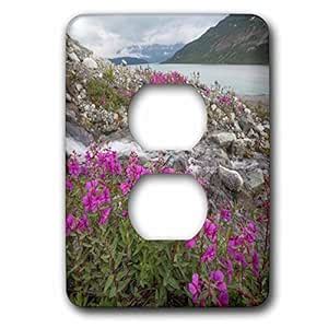 3D Rose lsp_229405_6 Alaska, Glacier Bay National Park. Small Stream 2 ...