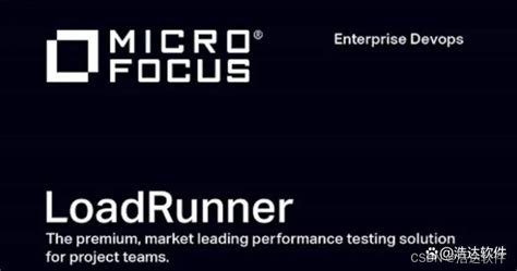 Load Runner Latest Version 的图像结果