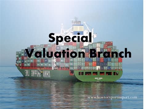 Transaction value under Special Valuation Branch (SVB)