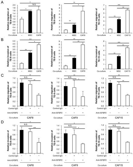 Cancers | Special Issue : The Role of Tumor Microenvironment in Solid ...