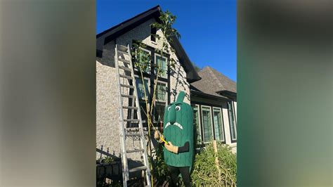 Delta State Fighting Okra mascot visits record-breaking cousin in ...