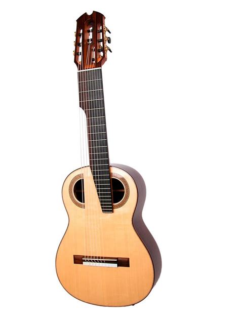 Image result for Ten-String Guitar