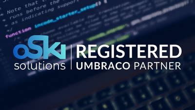 Image result for Navision Developer