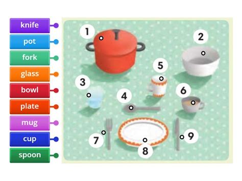 Image result for Classification Dish Table