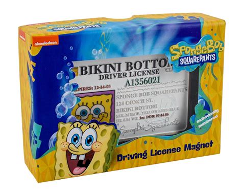 Spongebob Squarepants Driving License Magnet - Merchoid Australia
