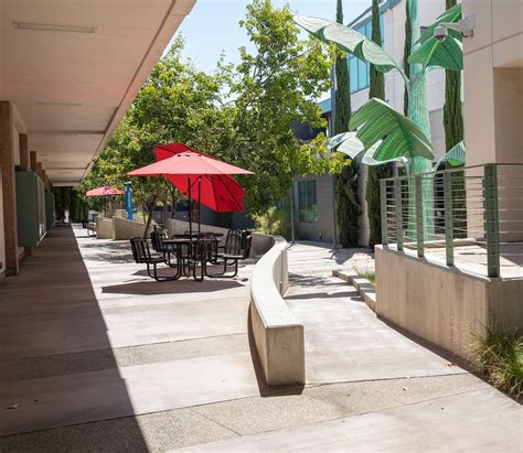 Center for the Arts - North Patio - Business and Administrative ...