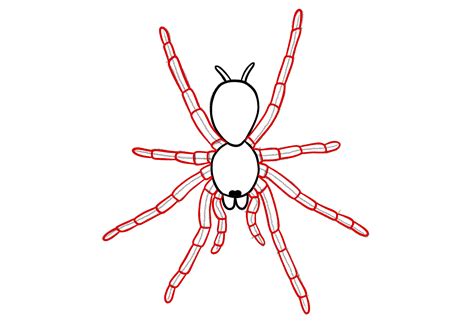 How to Draw a Spider | Design School