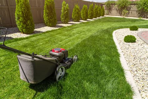 Basic Tips for a Beautiful Summer Lawn - ARB & Grounds