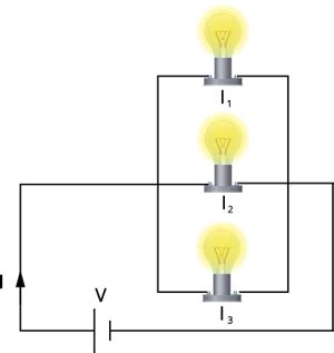 Bulbs in parallel — task. Science State Board, Class 8.