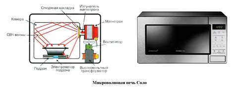 Устройство и принцип действия микроволновки