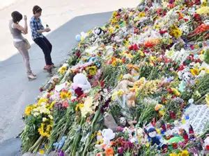 Beijing: Malaysia Airlines MH17 crash: Victims' families to get $ 5,000 ...