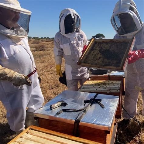 Image result for Basic Beekeeping Course