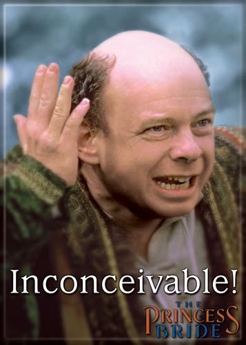 Image result for Princess Bride Movie Inconceivable