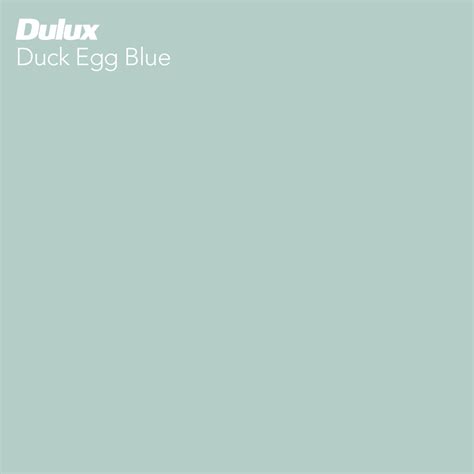 Duck Egg Blue Paint Swatch