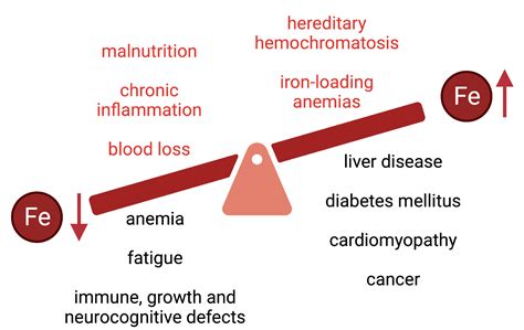 Nutritional Aspects of Iron in Health and Disease