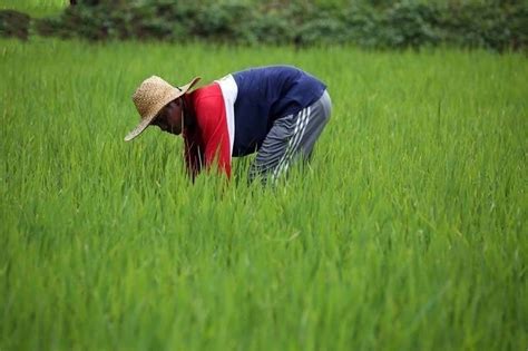 Local Food Production 的图像结果