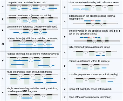 Image result for Gff Compare Class Code