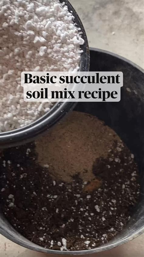 Basic succulent soil mix recipe – Artofit