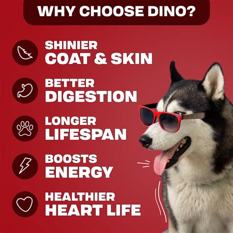 Space Sheep | Mutton Fresh Dog Food