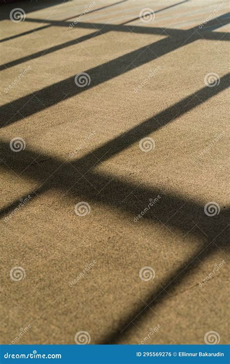 Carpet with Abstract Lines on Surface, Sunlight on the Rug, Silhouettes ...