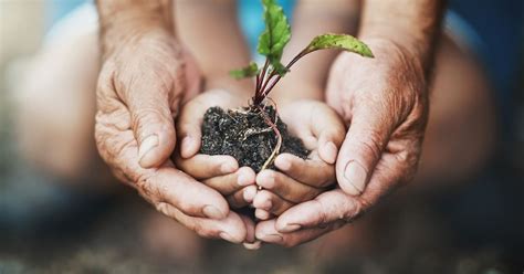 Corporate Sustainability Reporting Directive (CSRD) Double Materiality