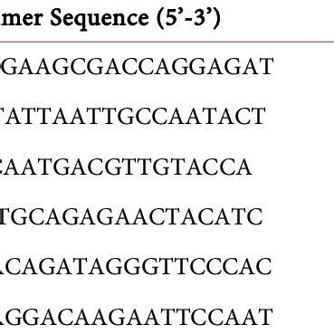Image result for PCR Primer Example