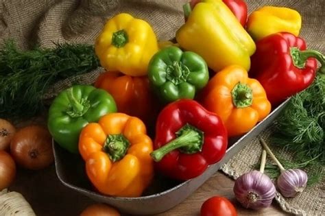 Image result for Interposition Real-World Example