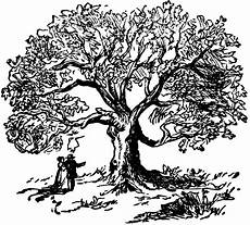 clipart etc tree clip oak tree clipart black and white image 24918 clipart etc tree clip oak tree clipart black and white image 24918