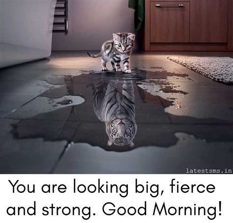 Good Morning SMS Jokes | latestsms.in