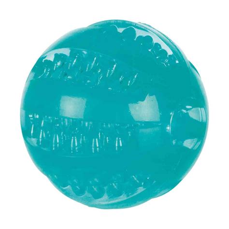 Buy Trixie Denta Fun Ball Mint Flavour TPR Rubber Toy for Dogs online ...