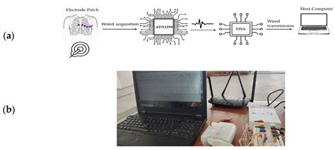 Toward Embedded Multi-Level Classification of 12-Lead ECG Signal ...