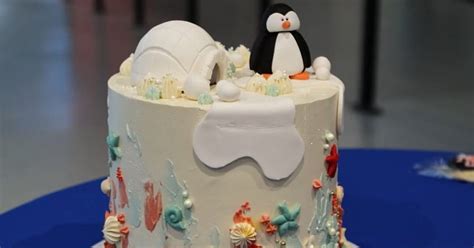 Australia aquarium hosts adorable gender-reveal party for penguin chick ...