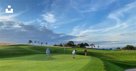 Playing Golf 的图像结果