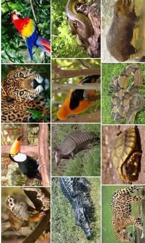 Image result for Android Developer Portfolio