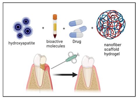 Application of Nano-Inspired Scaffolds-Based Biopolymer Hydrogel for ...