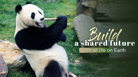 Future Animals 的图像结果