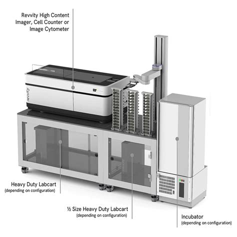 Automated plate loading | Revvity