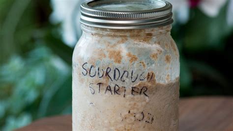 Ancient Sourdough Starter Recipe at Elizabeth Ashworth blog