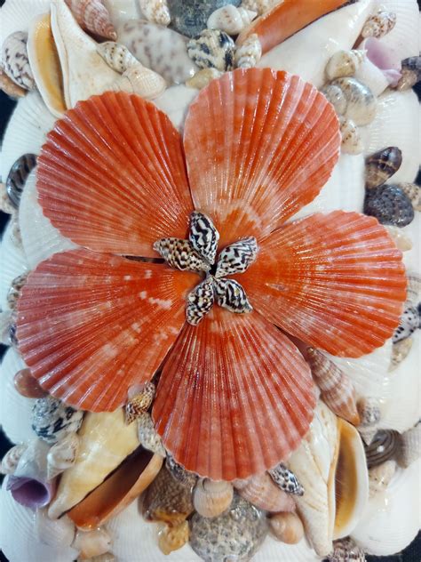 Image result for Tutorial Half Shell Pattern