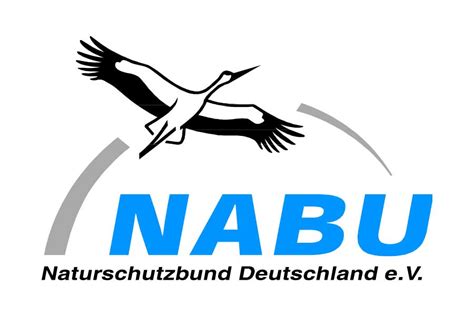 Nabu (Earth-16) | DC Database | Fandom