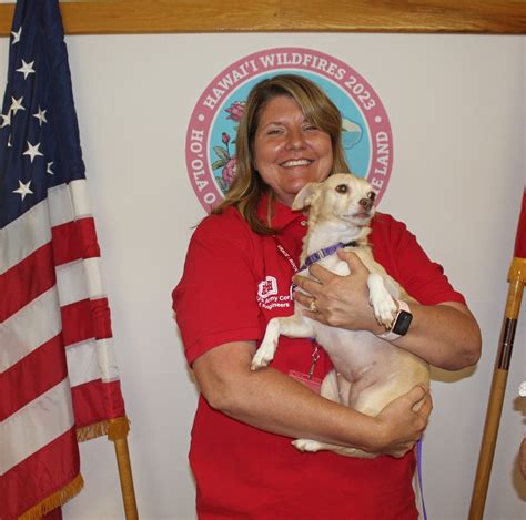 Paws for comfort | Article | The United States Army