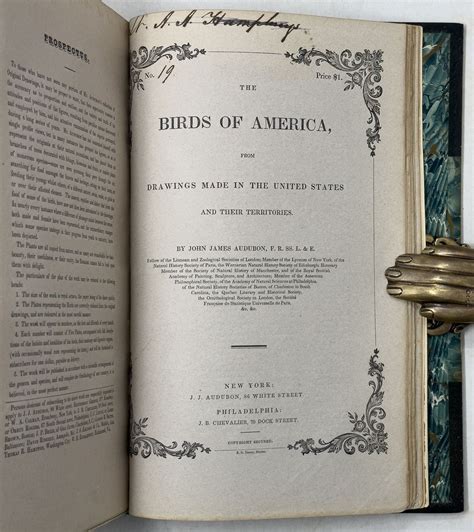 Audubon's Complete Birds of America | AraderBooks