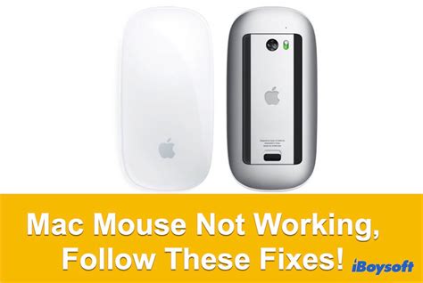 Image result for Support Mac Setup VM Mouse Not Working