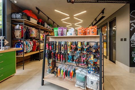 Pet Shop 的图像结果