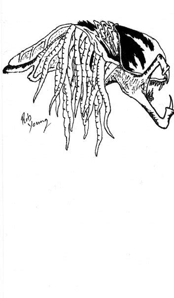 Image result for How to Draw the Predalien