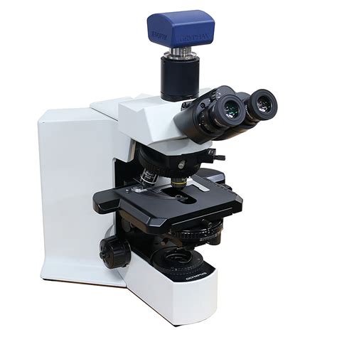 Image result for Interference Microscope