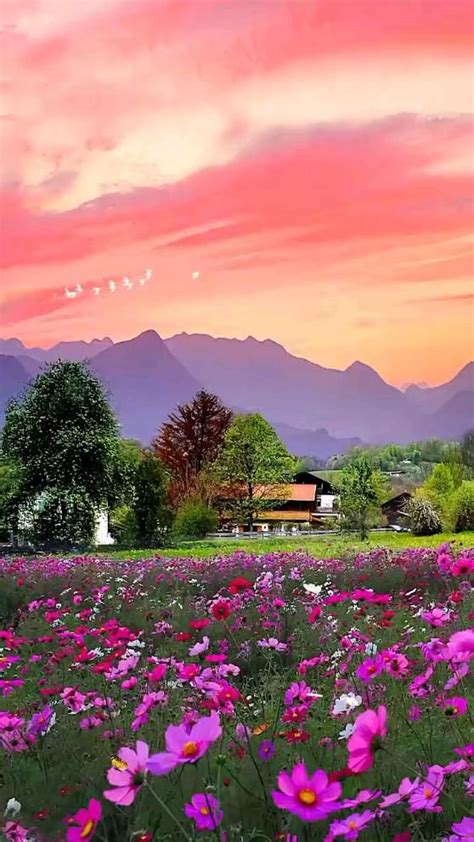 Photography in Nature 的图像结果